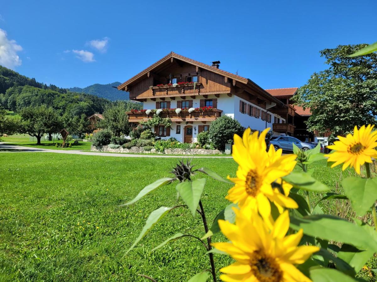 Hoderhof Apartment Grassau  Exterior photo